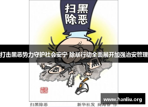 打击黑恶势力守护社会安宁 除暴行动全面展开加强治安管理